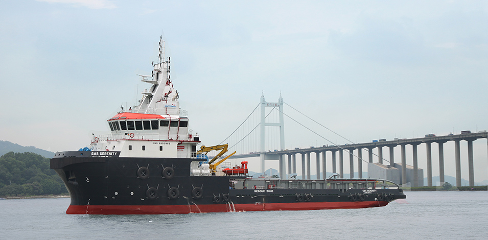 65M Anchor Handling Tug/Supply Vessel