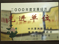 潭洲發(fā)展經(jīng)濟先進單位